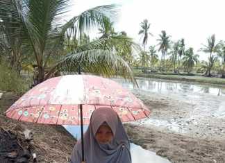 Demi Ujian Daring, Mahasiswi Harus Ujian di Pinggir Tambak Udang