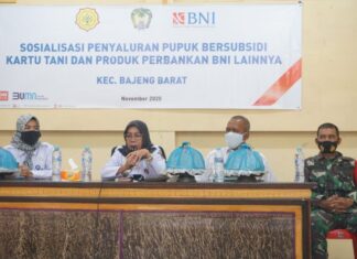 gowa