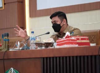 Bupati Gowa, Adnan Purichta Ichsan