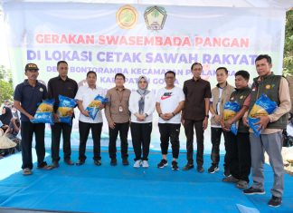 Bupati Gowa Perkuat Swasembada Pangan Lewat Optimalisasi Cetak Sawah Rakyat Bupati Gowa